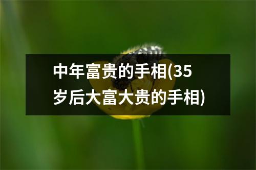 中年富贵的手相(35岁后大富大贵的手相)