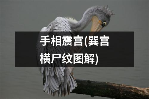 手相震宫(巽宫横尸纹图解)