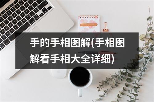 手的手相图解(手相图解看手相大全详细)