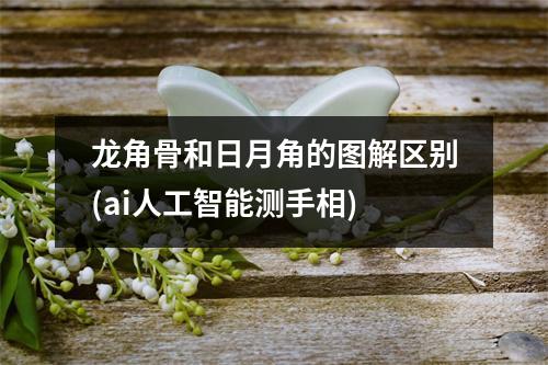 龙角骨和日月角的图解区别(ai人工智能测手相)