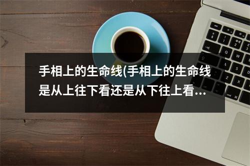 手相上的生命线(手相上的生命线是从上往下看还是从下往上看)