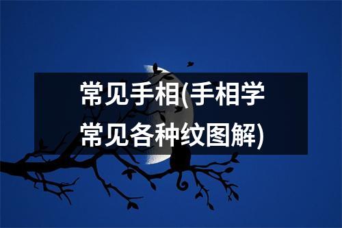 常见手相(手相学常见各种纹图解)