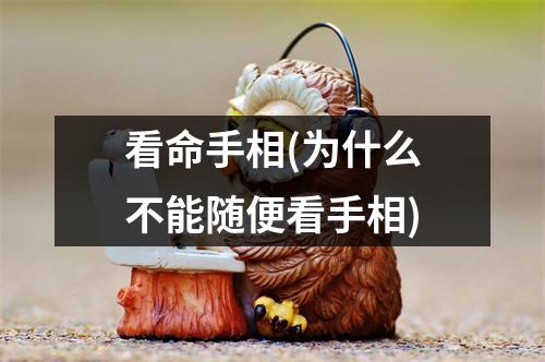 看命手相(为什么不能随便看手相)