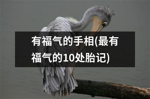 有福气的手相(有福气的10处胎记)