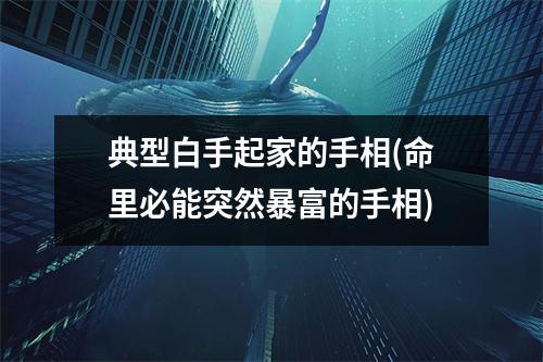 典型白手起家的手相(命里必能突然暴富的手相)