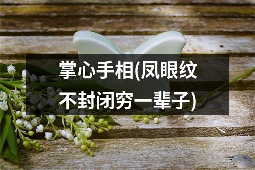 掌心手相(凤眼纹不封闭穷一辈子)