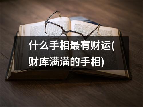 什么手相有财运(财库满满的手相)