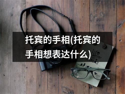 托宾的手相(托宾的手相想表达什么)