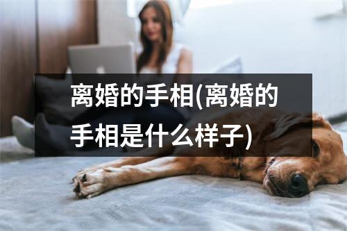 离婚的手相(离婚的手相是什么样子)