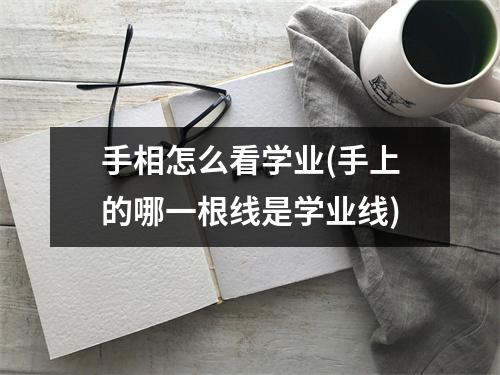 手相怎么看学业(手上的哪一根线是学业线)