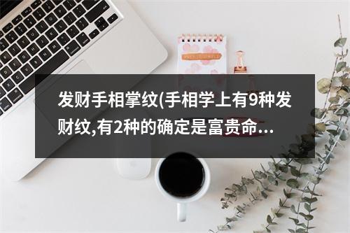 发财手相掌纹(手相学上有9种发财纹,有2种的确定是富贵命)