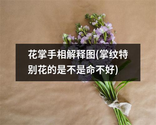 花掌手相解释图(掌纹特别花的是不是命不好)