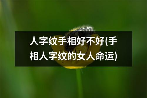 人字纹手相好不好(手相人字纹的女人命运)