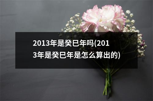 2013年是癸巳年吗(2013年是癸巳年是怎么算出的)