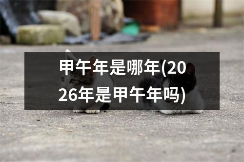 甲午年是哪年(2026年是甲午年吗)