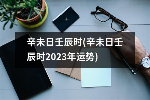 辛未日壬辰时(辛未日壬辰时2023年运势)