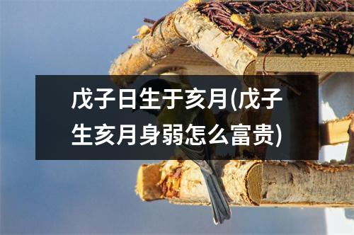 戊子日生于亥月(戊子生亥月身弱怎么富贵)