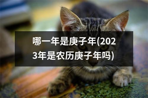 哪一年是庚子年(2023年是农历庚子年吗)