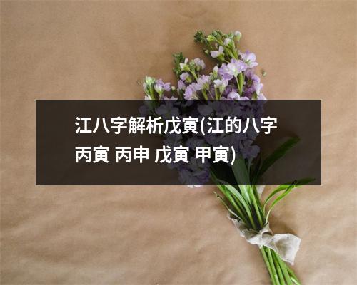 江八字解析戊寅(江的八字 丙寅 丙申 戊寅 甲寅)