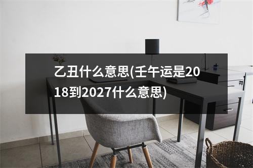 乙丑什么意思(壬午运是2018到2027什么意思)