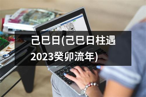 己巳日(己巳日柱遇2023癸卯流年)