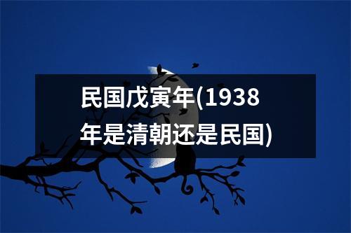 民国戊寅年(1938年是清朝还是民国)