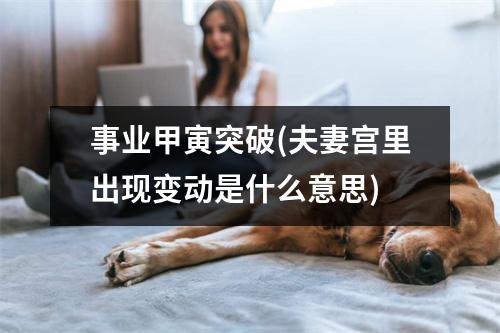 事业甲寅突破(夫妻宫里出现变动是什么意思)