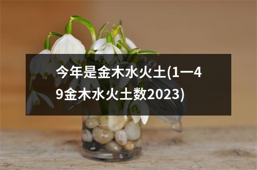 今年是金木水火土(1一49金木水火土数2023)