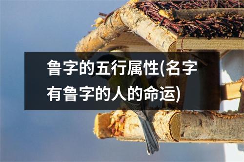 鲁字的五行属性(名字有鲁字的人的命运)