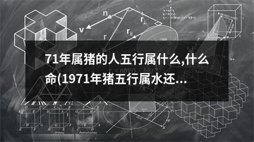 71年属猪的人五行属什么,什么命(1971年猪五行属水还是金)