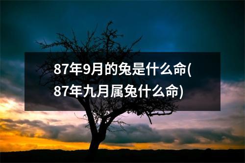 87年9月的兔是什么命(87年九月属兔什么命)