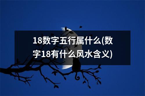 18数字五行属什么(数字18有什么风水含义)