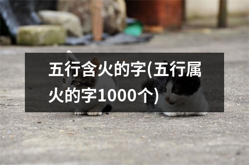 五行含火的字(五行属火的字1000个)