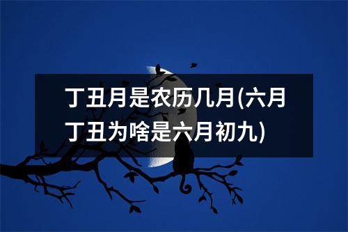 丁丑月是农历几月(六月丁丑为啥是六月初九)