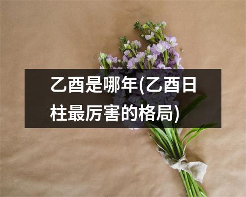 乙酉是哪年(乙酉日柱厉害的格局)