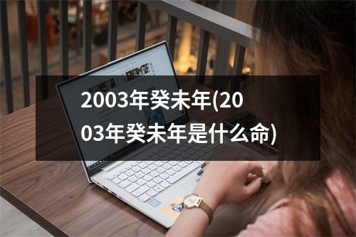 2003年癸未年(2003年癸未年是什么命)