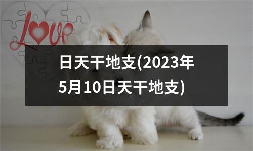 日天干地支(2023年5月10日天干地支)