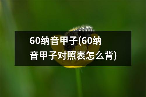 60纳音甲子(60纳音甲子对照表怎么背)