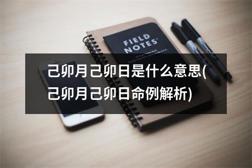 己卯月己卯日是什么意思(己卯月己卯日命例解析)