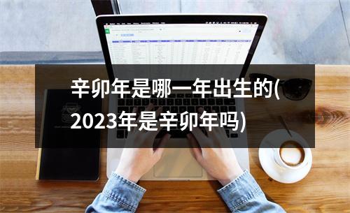 辛卯年是哪一年出生的(2023年是辛卯年吗)