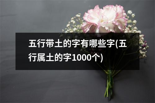 五行带土的字有哪些字(五行属土的字1000个)