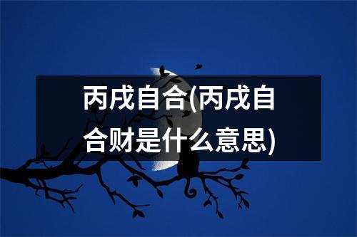 丙戌自合(丙戌自合财是什么意思)