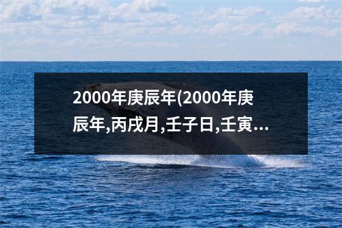 2000年庚辰年(2000年庚辰年,丙戌月,壬子日,壬寅时生人男命批八字)