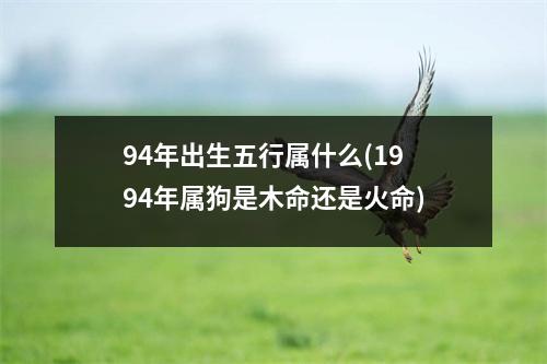 94年出生五行属什么(1994年属狗是木命还是火命)