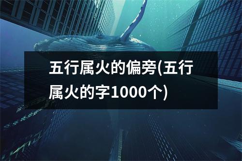 五行属火的偏旁(五行属火的字1000个)