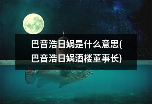 巴音浩日娲是什么意思(巴音浩日娲酒楼董事长)