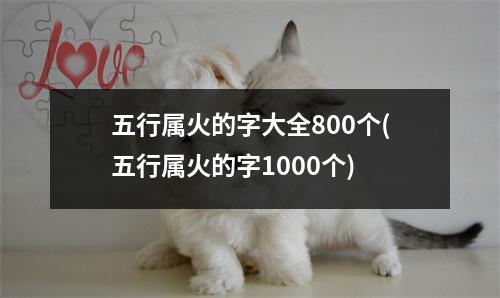 五行属火的字大全800个(五行属火的字1000个)