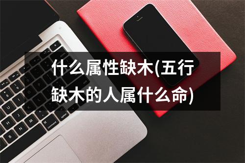 什么属性缺木(五行缺木的人属什么命)