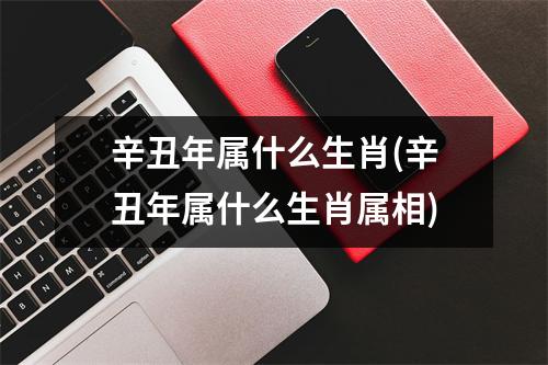 辛丑年属什么生肖(辛丑年属什么生肖属相)