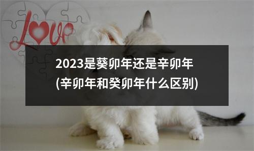 2023是葵卯年还是辛卯年(辛卯年和癸卯年什么区别)